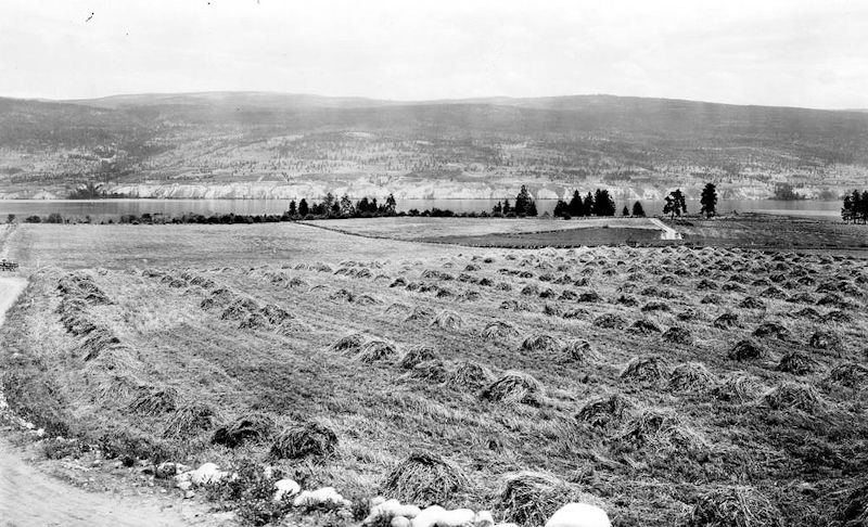 The Summerland Research Station