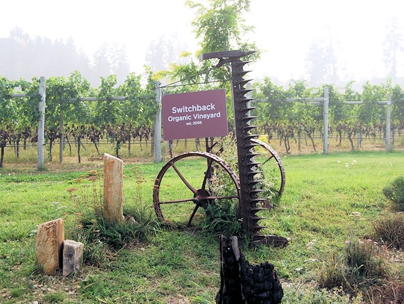 Okanagan Crush pad