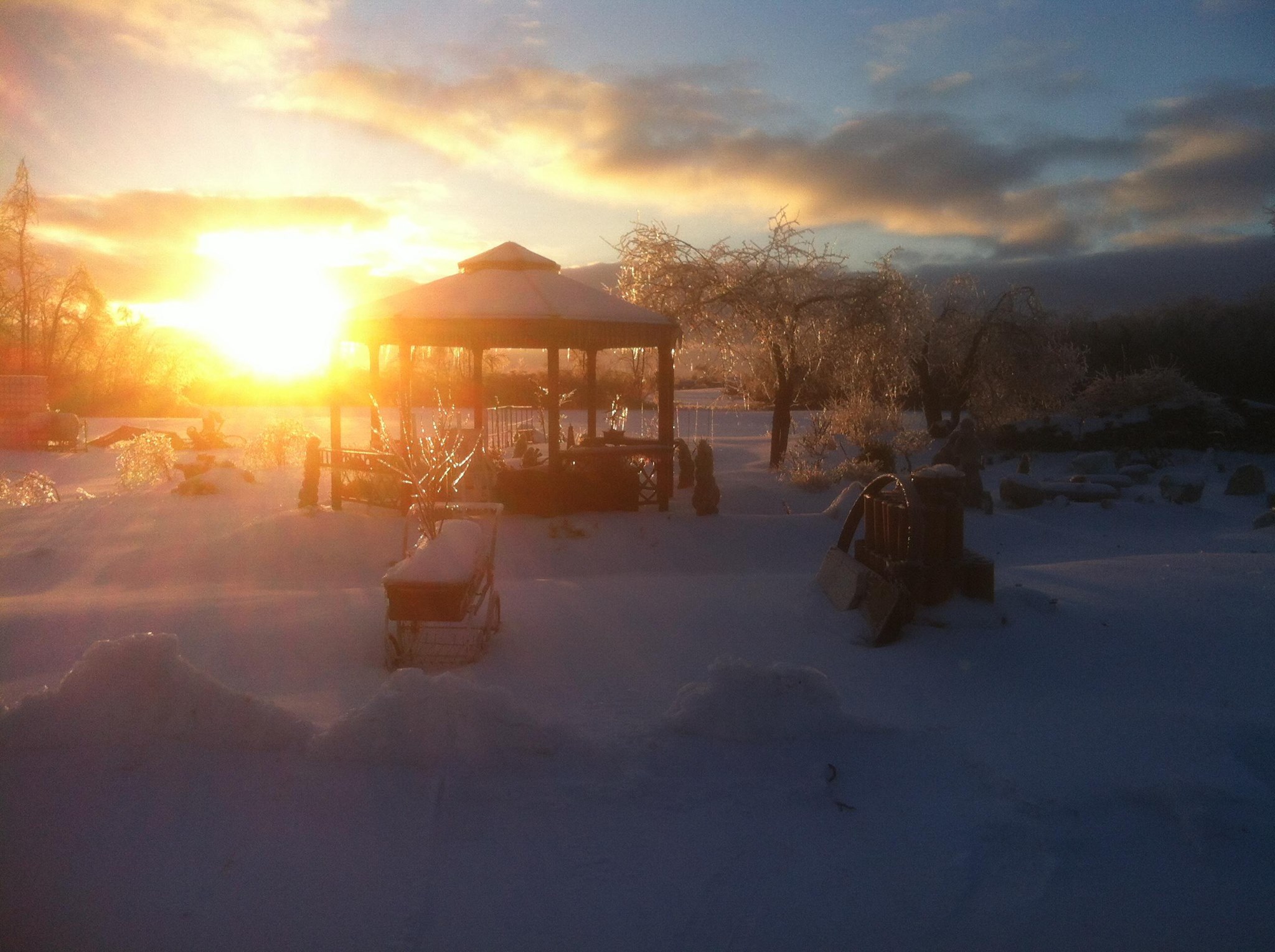 Domaine Darius - Bloomfield, Ontario