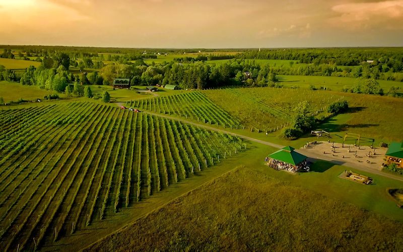 Jabulani Vineyard & Winery