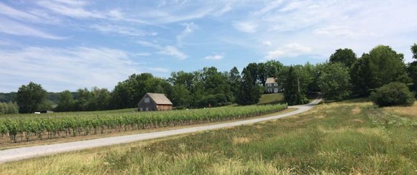 Five Rows Craft Wine of Lowrey Vineyards i