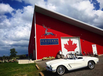 Icellars Estate Winery 