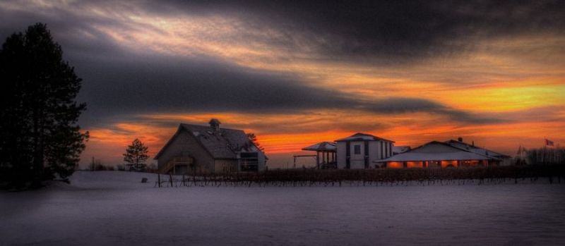 Inniskillin Wines Inc. 