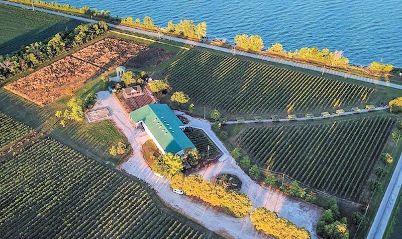 
Pelee Island Winery 