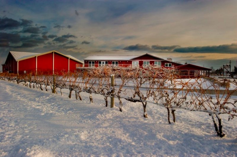 Pillitteri Estates Winery - Niagara-on-the Lake