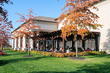 Two Sisters Vineyards