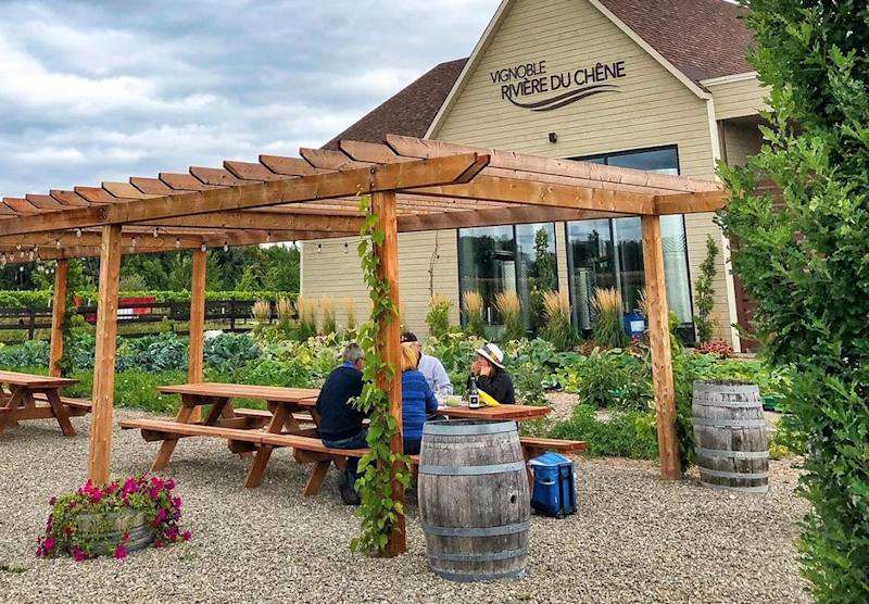 Vignoble de La Riviere du Chene