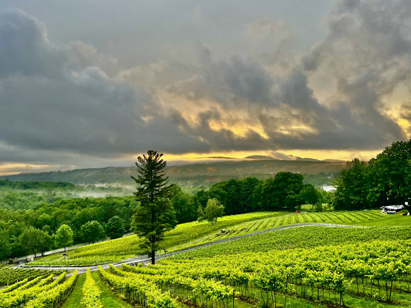Sugar Hills -Quebec