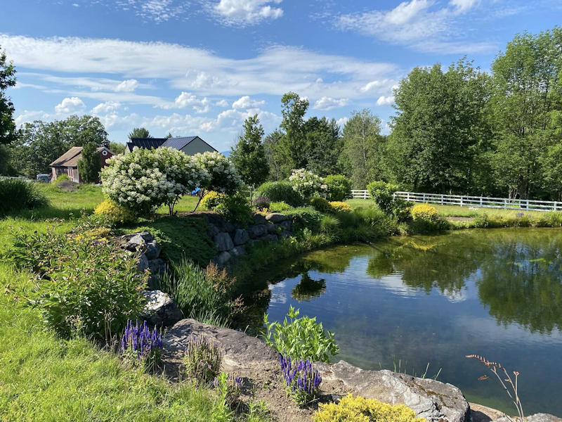 Vignoble Sugar Hill Quebec