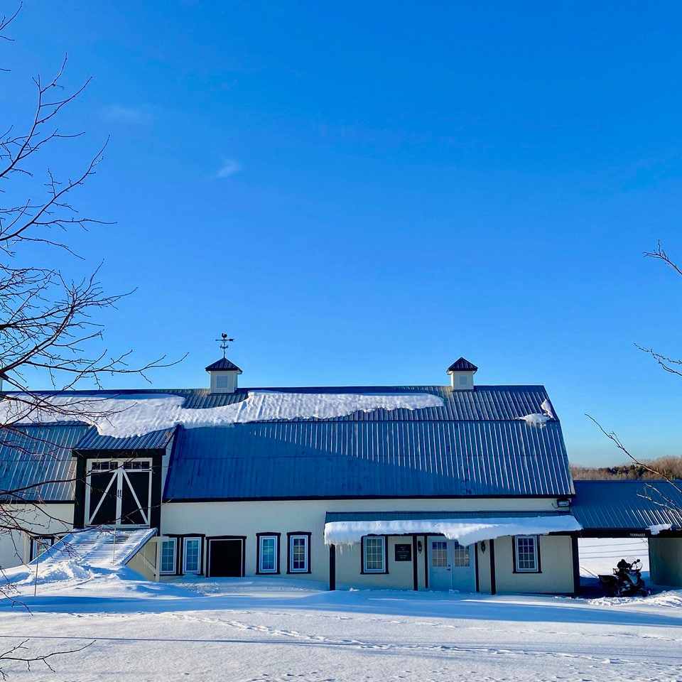 Saint Pierre Le Vignoble Saint Pierre Le Vignoble - Île d’Orléans