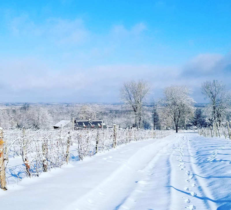 Domaine des Côtes d'Ardoise