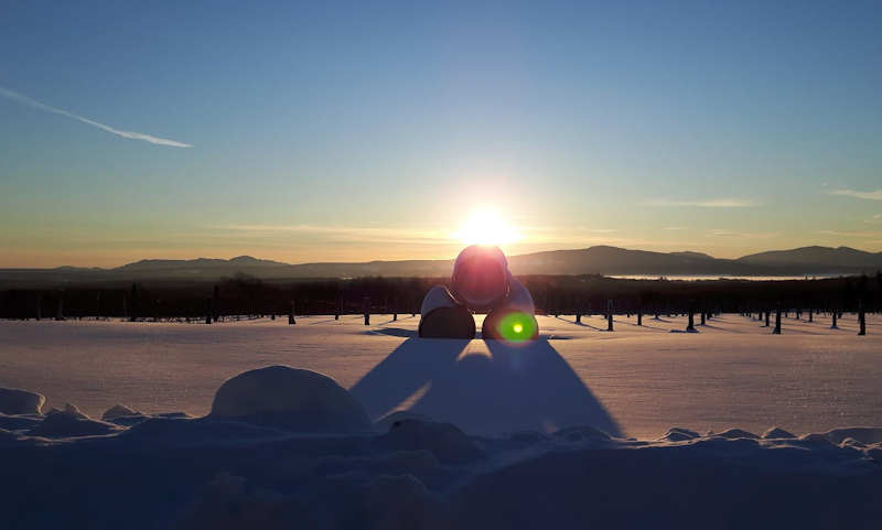 Léon Courville's vineyard!