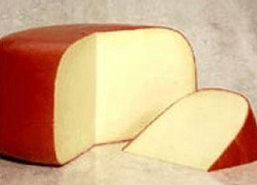 Gouda