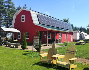 Little Pig Cidery