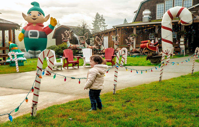 Merridale Cidery and Ditillery