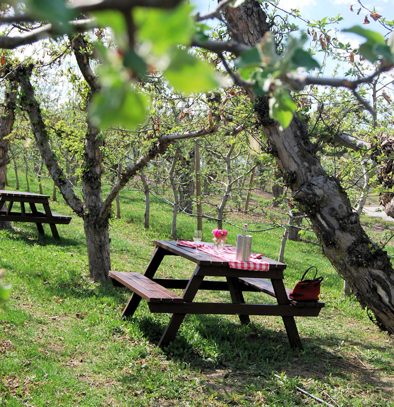 Wards Cider Orchard