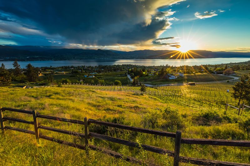 The Naramata Bench from Daydream Wines