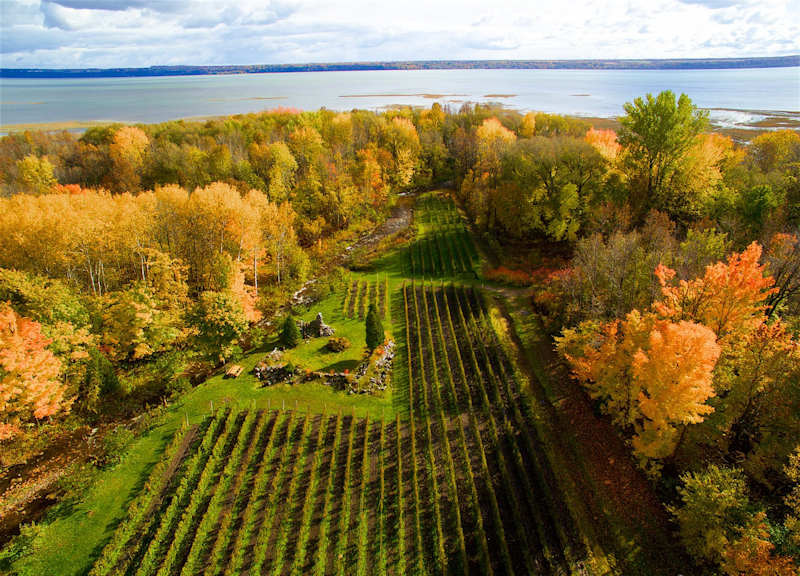 Domaine des 3 Moulins 