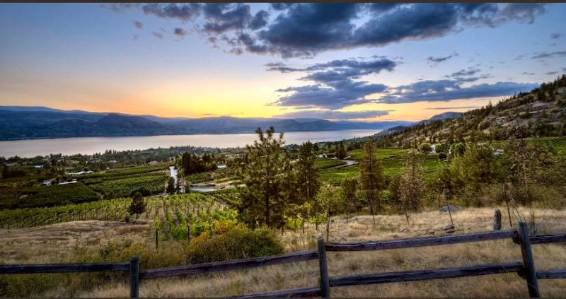 Nichol Vineyards ~ Naramata