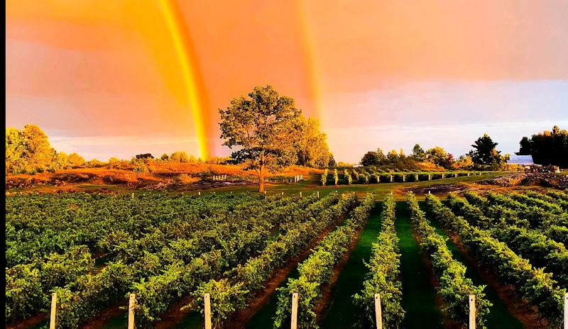 Potters Settlement Artisian Winery