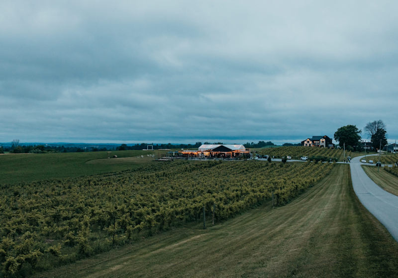 Rolling Grape Winery 