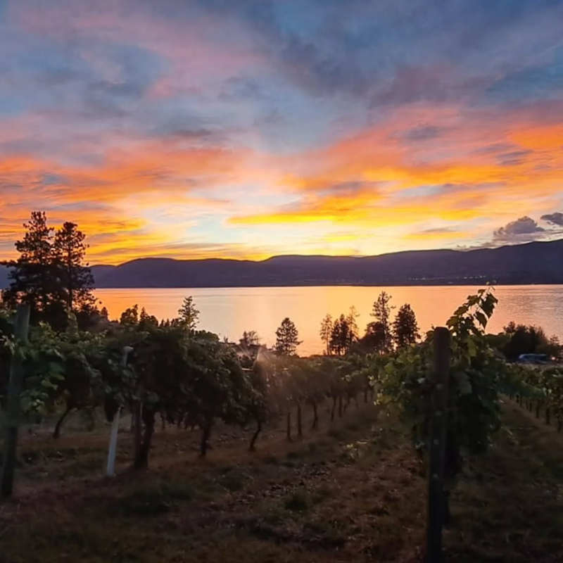 Waldfolf Family Estate Kelowna 
