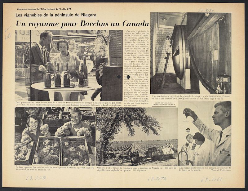 1964 Royal visit -tasting Bacchus. 