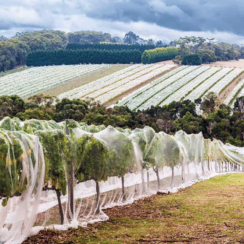 Drape Netting