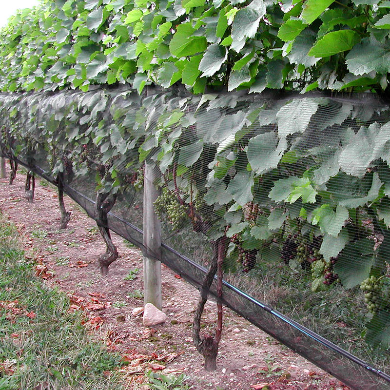 GintecPRO Guard Netting
