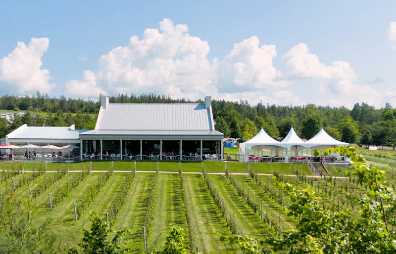 Luckett opened Luckett Vineyards in Gaspereau Valley,