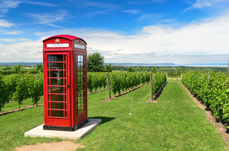 English Phone Booth Luckett Vineyards