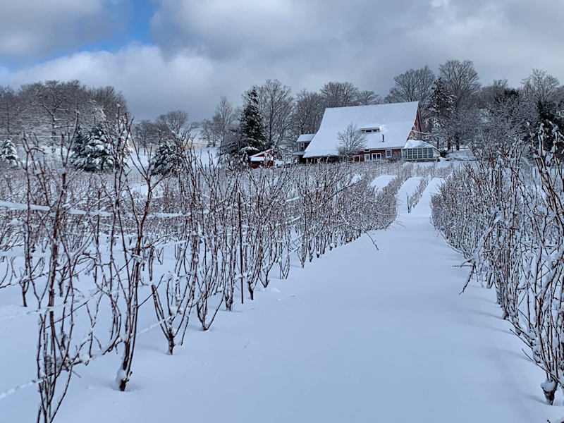 Bear River Winery - Bear River, Nova Scotia