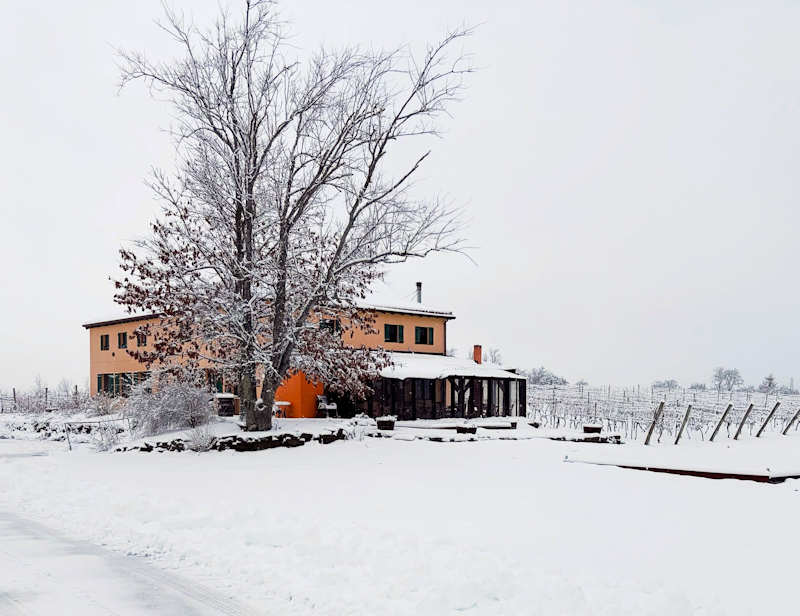 Bent Ridge  winery- Windsor NS 

