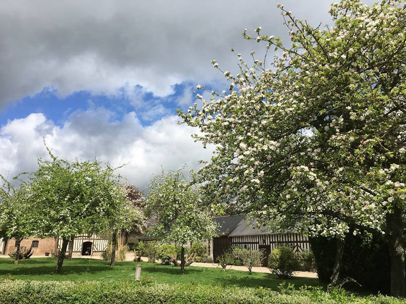 DesrochersD Honey Farm<