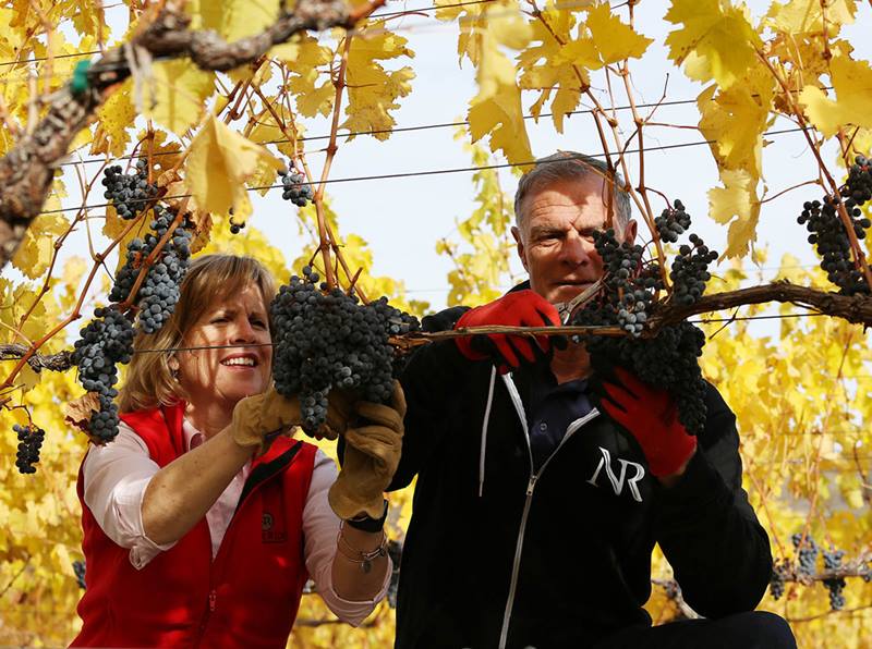 Jim and Leslie D’Andrea