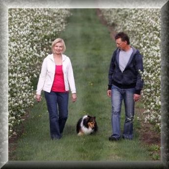 Field Stone Fruit Wines 