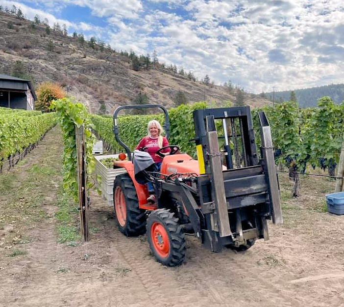 Prudence Mahrer on Tractor