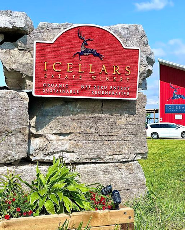 Icellars Estate Vineyards 