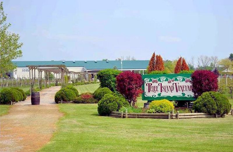 Pelee Isalnd Vineyards - Pelee Island, Ontario