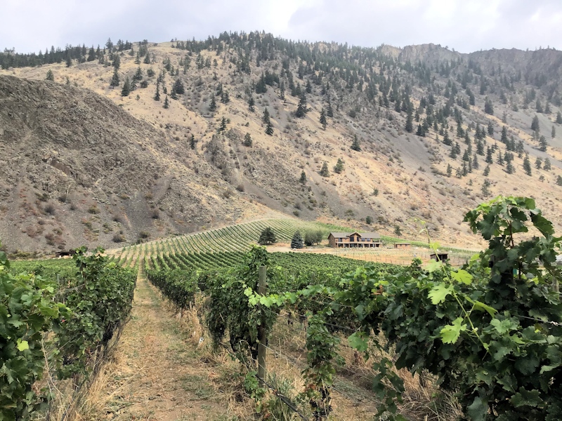 Keremeos Vineyards -photo by Barbara Bell